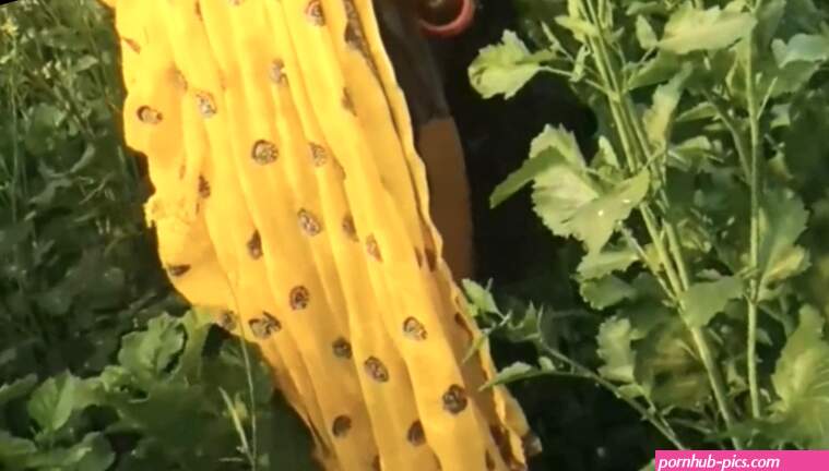 Desi aunty pissing in saree risky capture