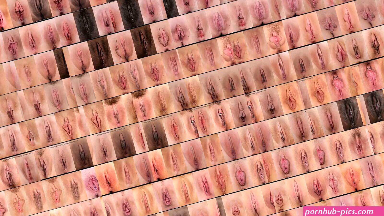 What Kind Of Pussy Do You Prefer?