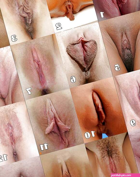 Girls with Different Kinds of Pussy