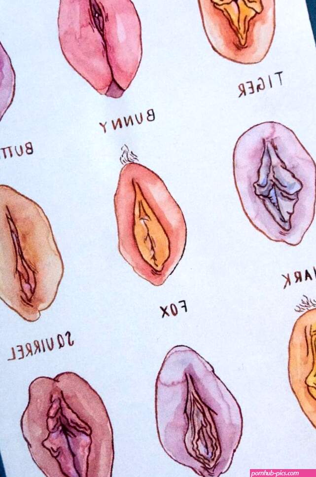 Different types of vaginas