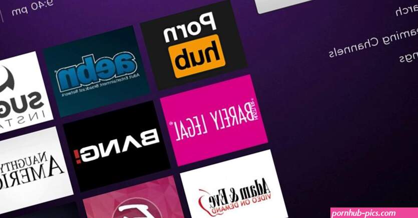 Wanna watch porn on Roku? Here is how!
