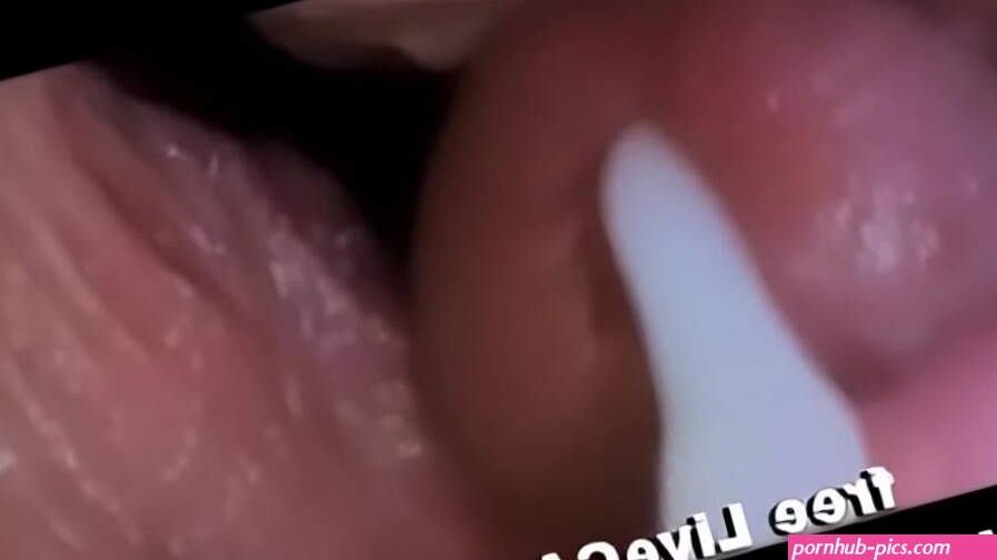 internal view of penis in pussy