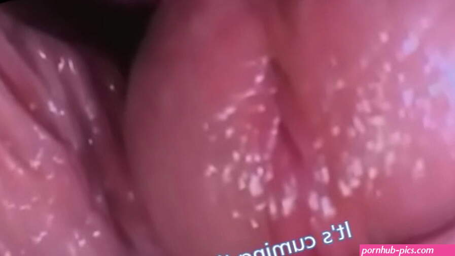 Journey to the Inside of the Pussy