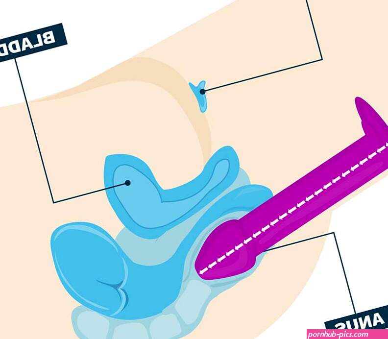 Anal Depth Training: A BDSM Educator Explains Safety And Toys