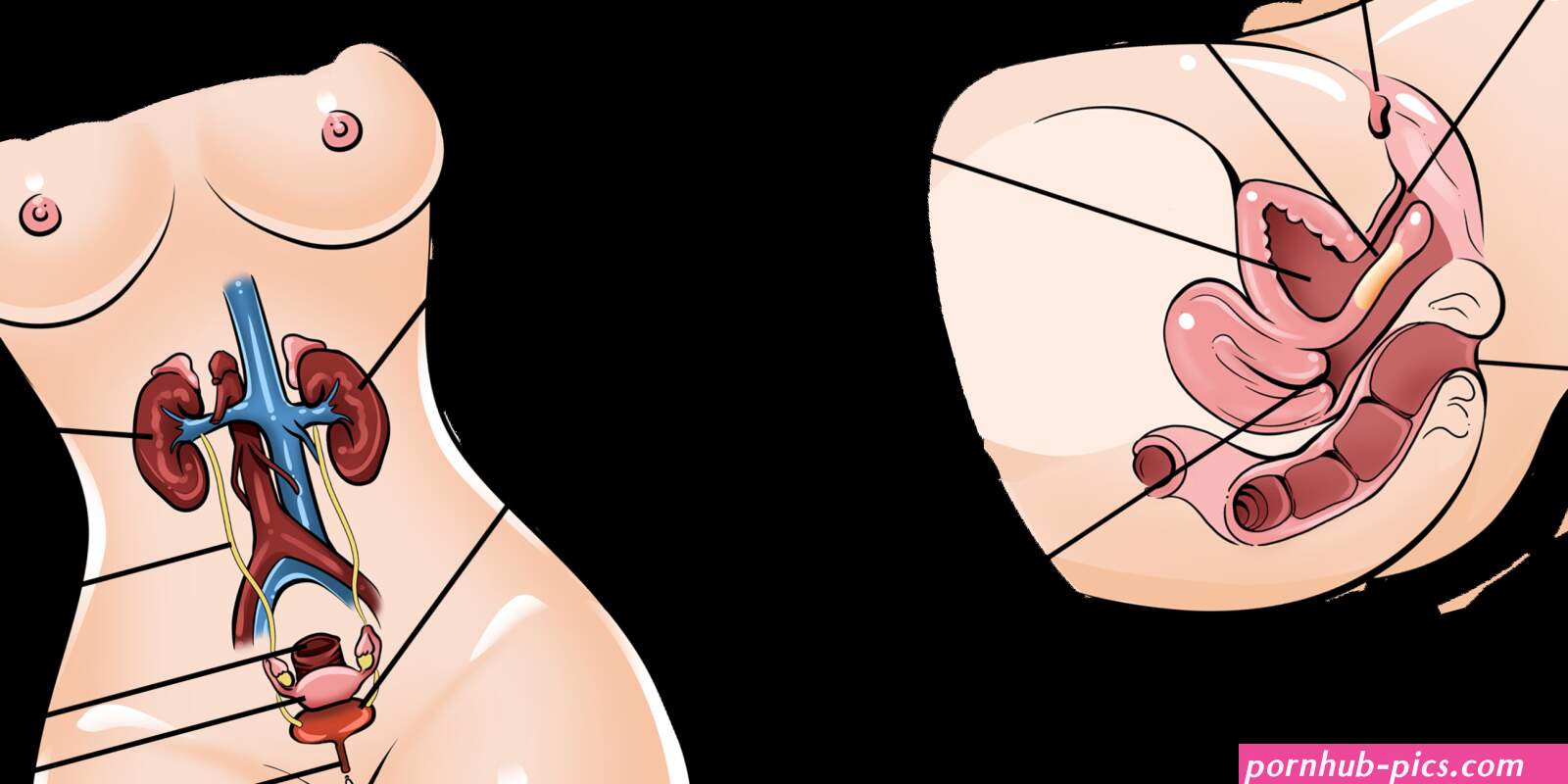 How to Give Her a Squirting Orgasm: The Complete Guide