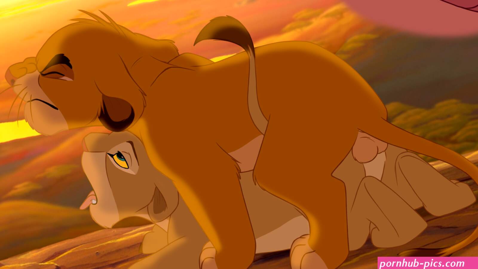 The Lion King porn Rule 34 Hentai
