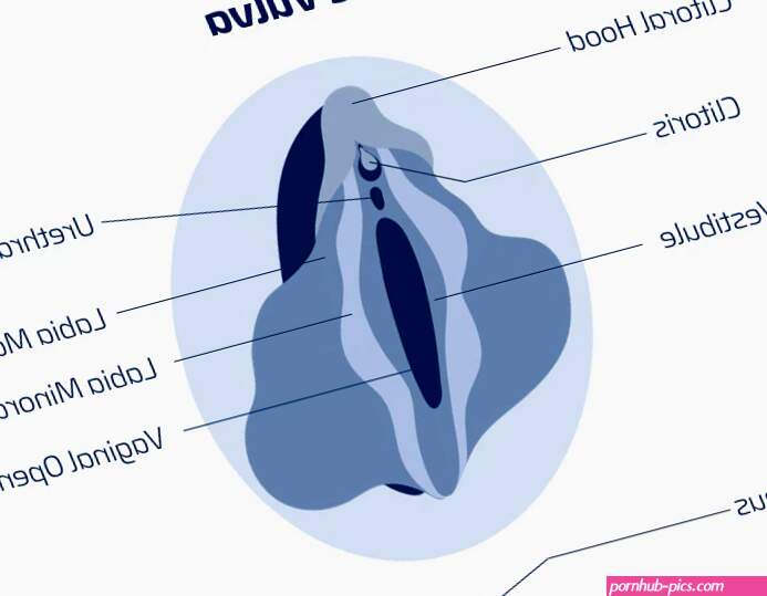 11 Tips on How to Eat Pussy: The Ultimate Guide to Oral Sex on a Woman