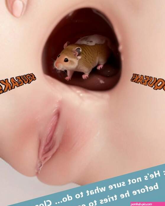 Anal swallow mouse