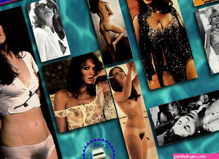 pamela hensley playboy