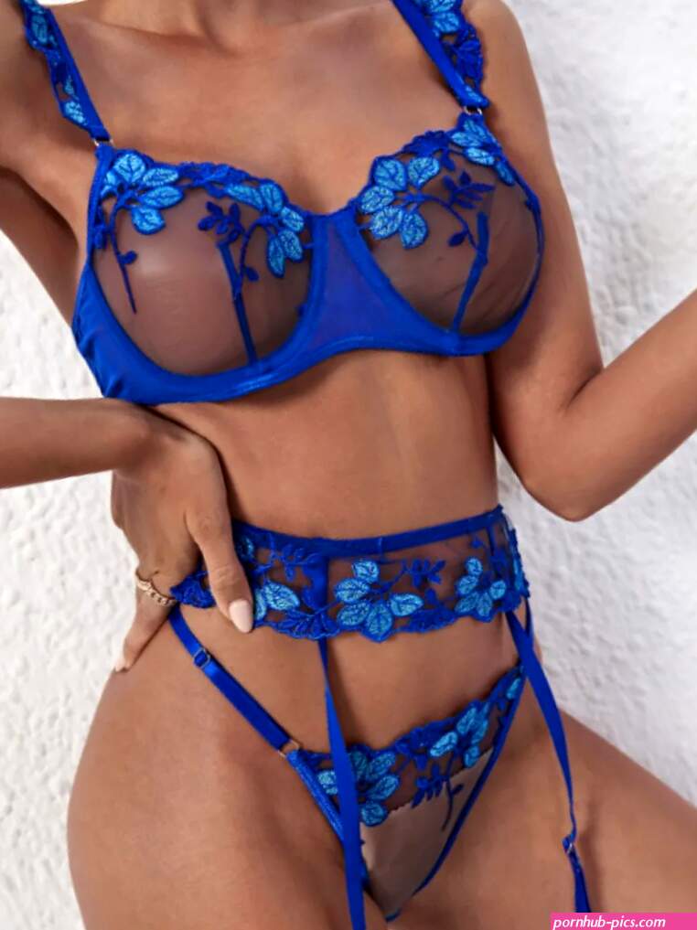 3 Pieces Set Luxury Sexy Lingerie Lace Floral Embroidery Underwear Pus