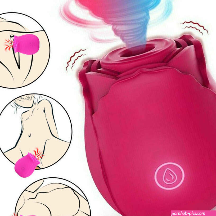Breast Nipple Clit Pussy Sucker Suction Pump Rose Vibrator Sex Toys for Women US