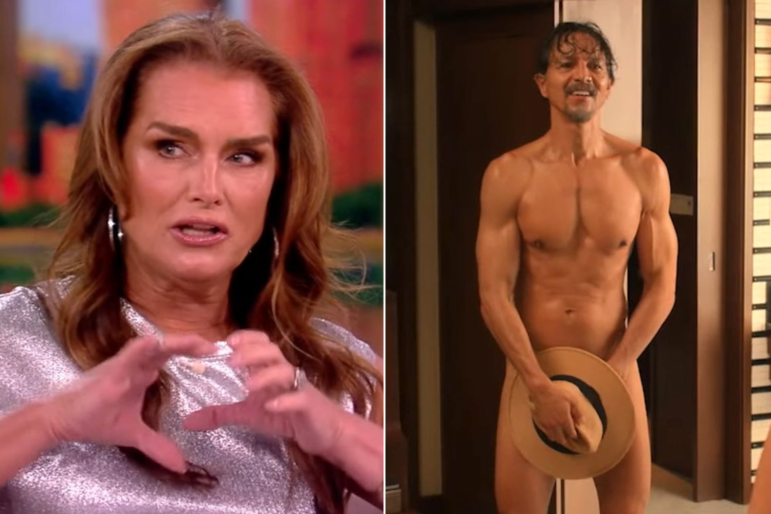 Brooke Shields dropped dress to comfort Benjamin Bratt in nude scene