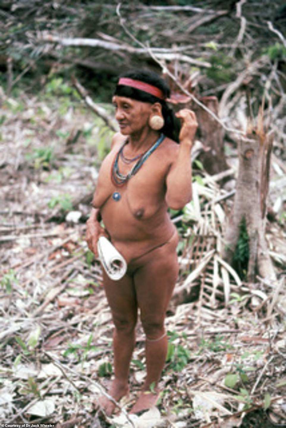 Explorer unearths photos showing Amazonian tribe making contact with outside world for first time