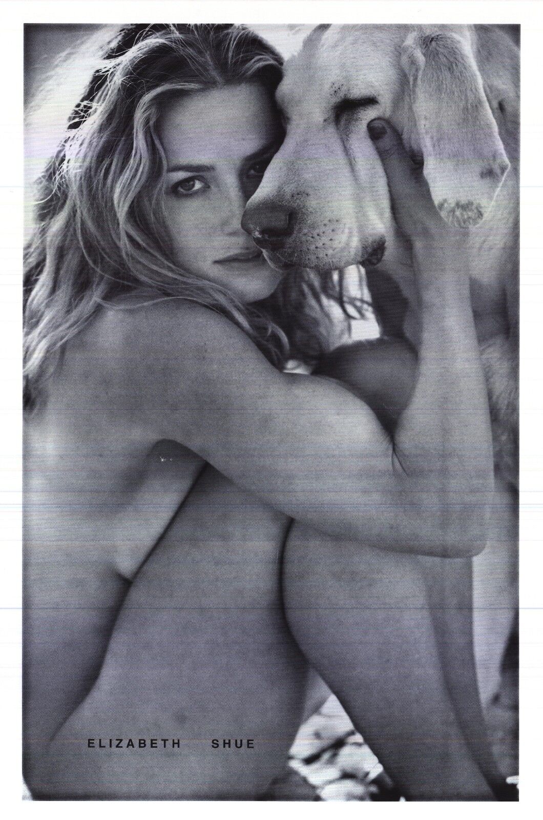 PINUP POSTERElizabeth Shue Nude WDog Elisabeth Leaving Las Vegas Era 23x35NOS