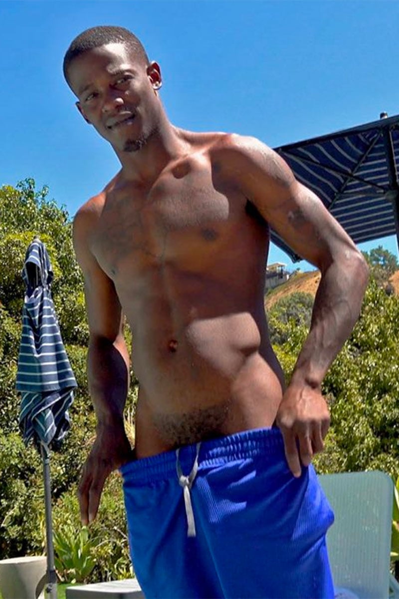 Stallion BBA