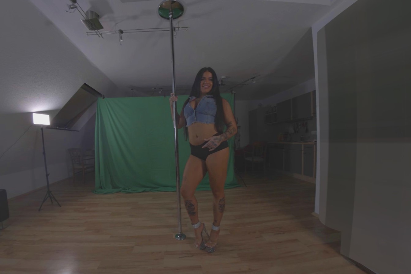 Pole Lap Dance