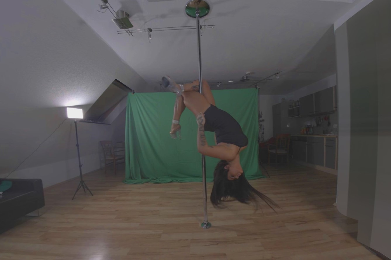 Pole and Lap Dance