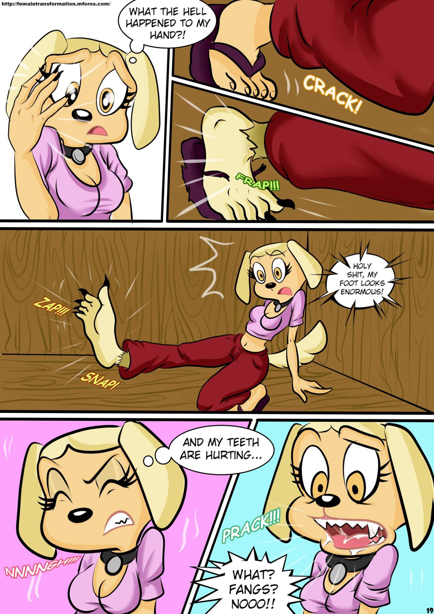Brandy And Mr. Whiskers