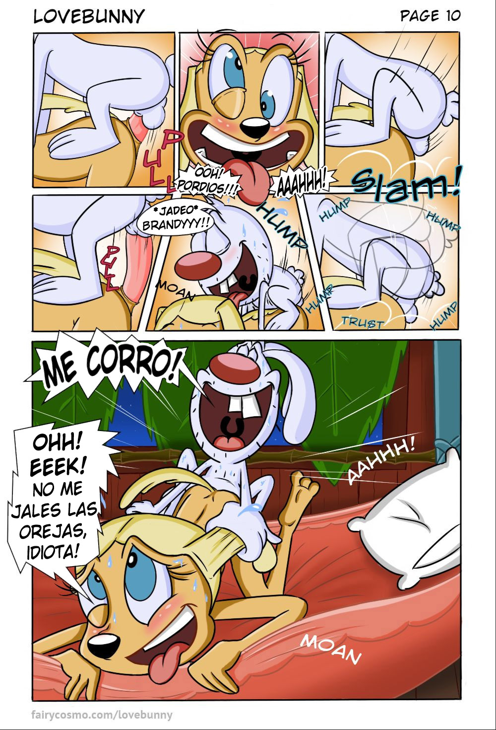 Brandy And Mr. Whiskers