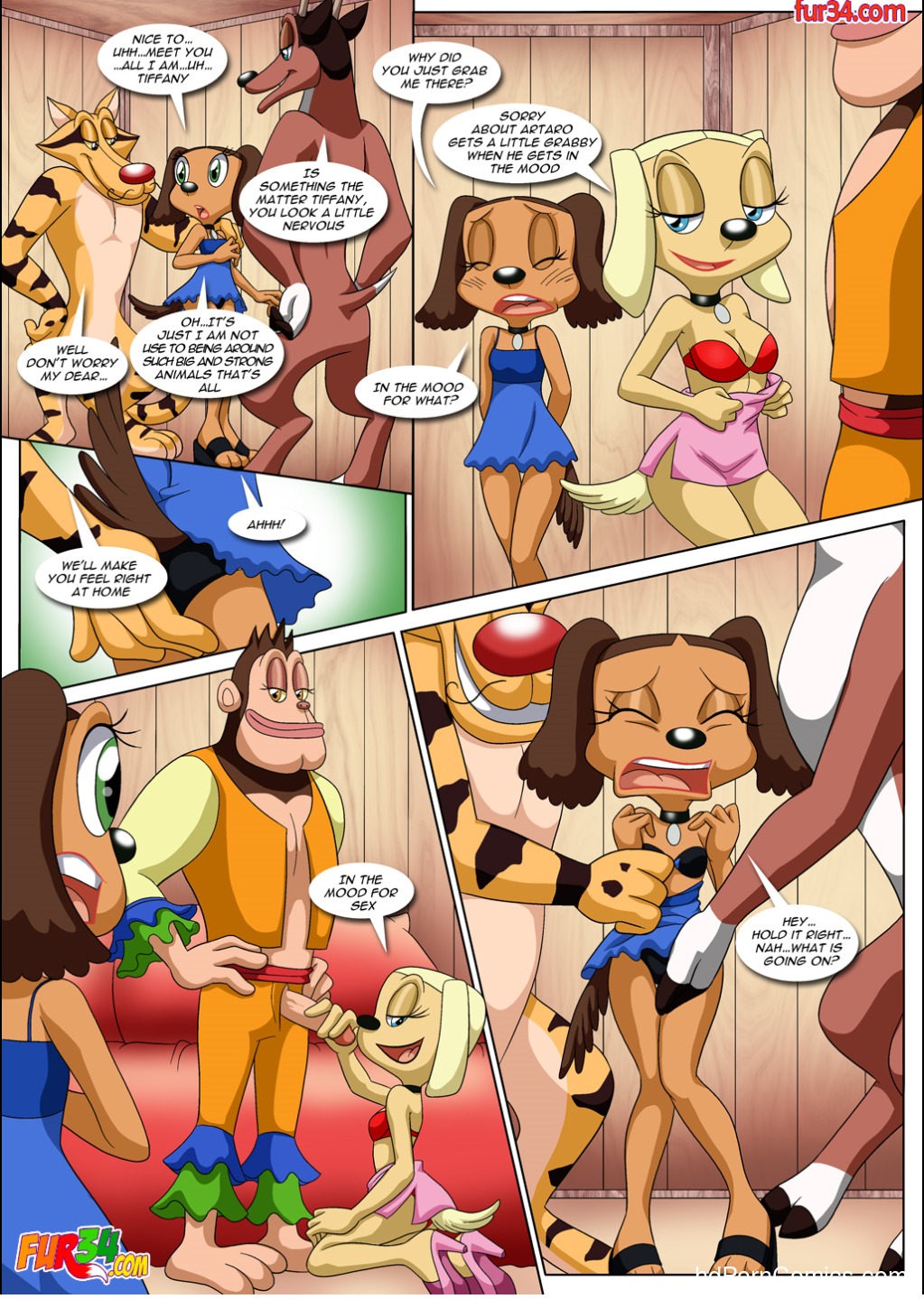 Amazon Fever Brandy and Mr. Whiskers