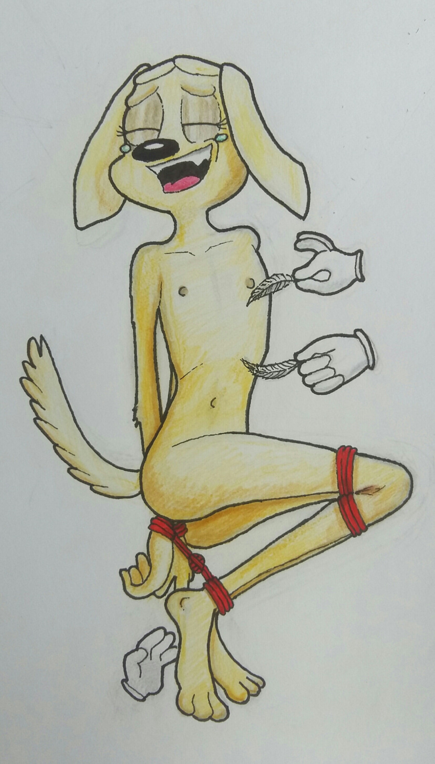 Brandy And Mr. Whiskers Porn