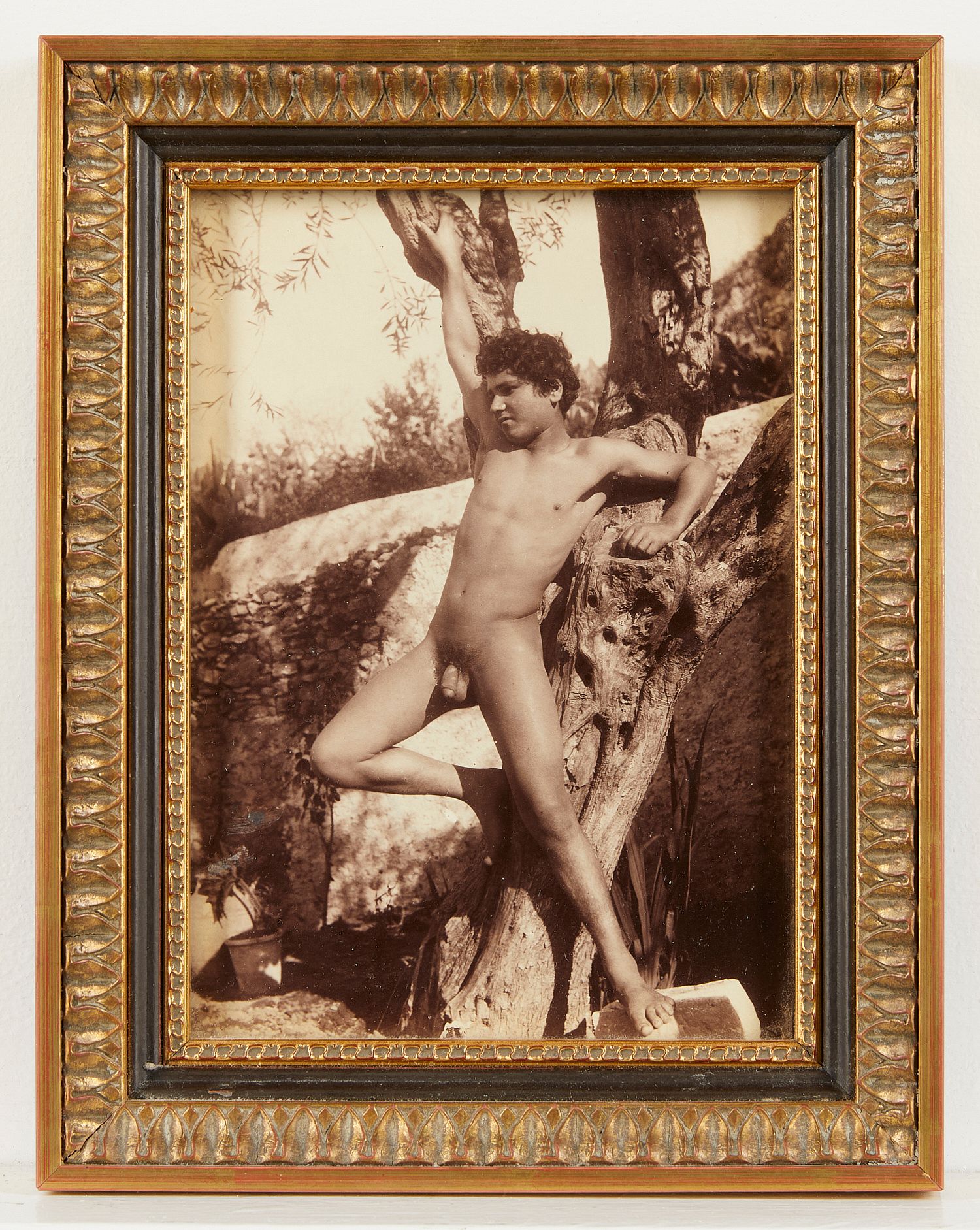 Wilhelm von Gloeden Nude GSP Photograph sold at auction on 24th January