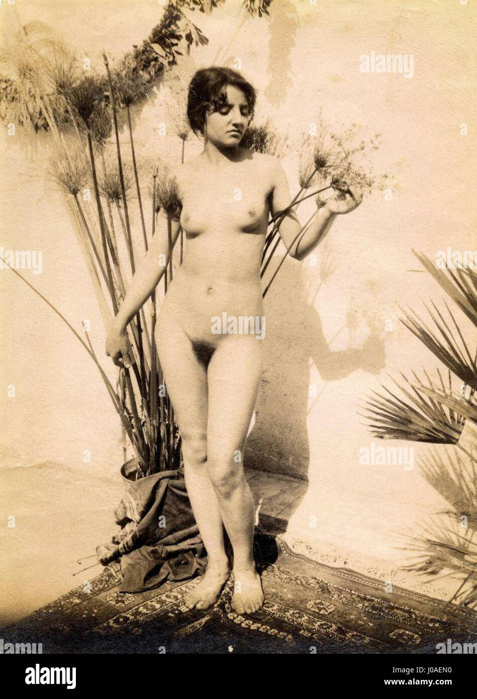 Wilhelm von Plüschows Femme nue Nude Woman from around 1900 is a classical representation of the female nude typical of academic art. The painting emphasizes form and sensuality reflecting early 20th-century European