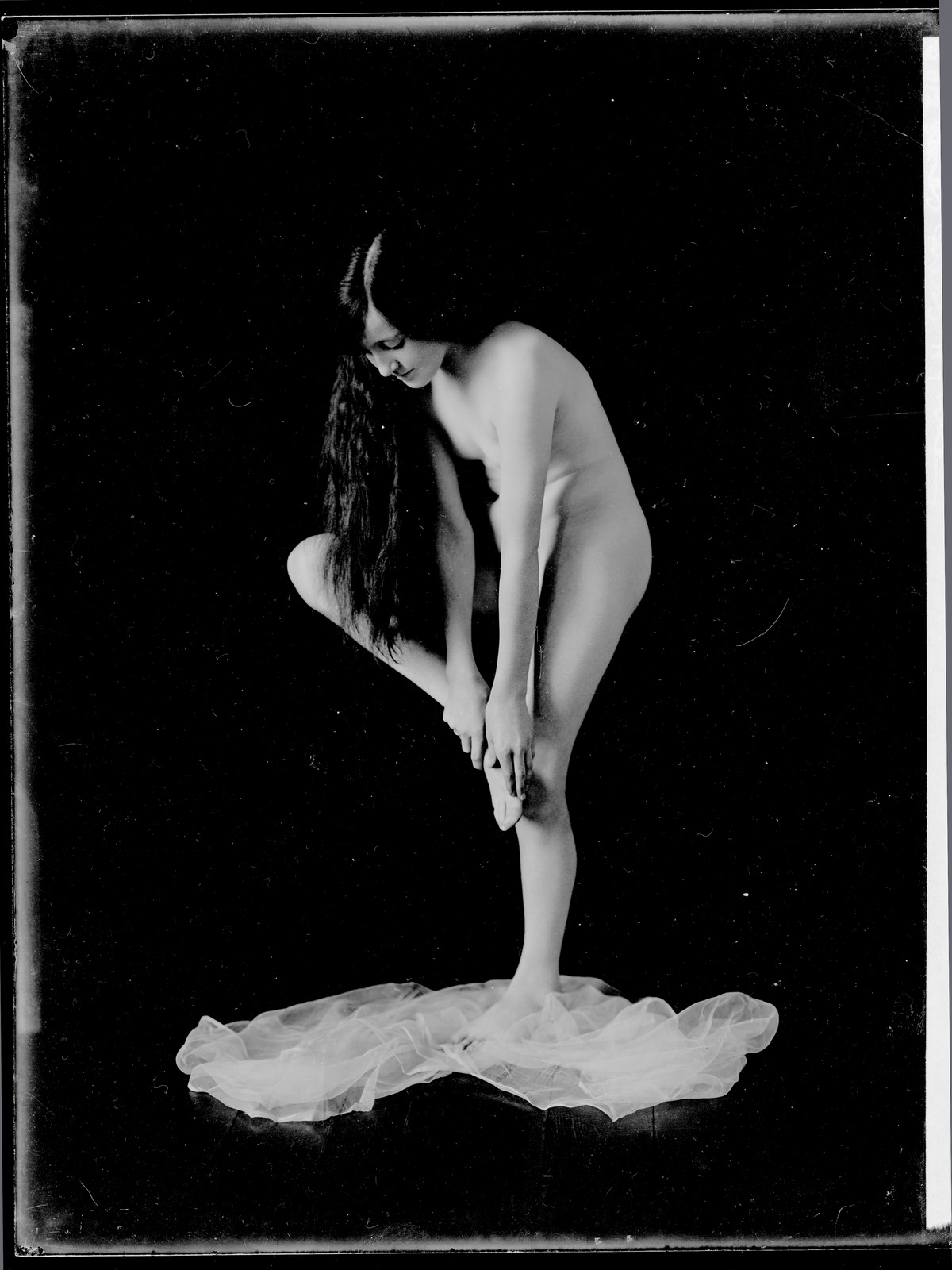 Nudes by Ruth Hollick