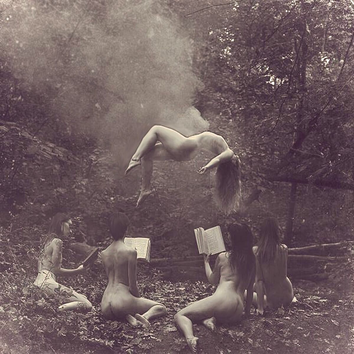 Witches in the Woods