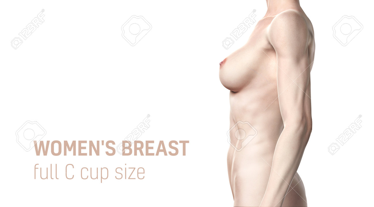 Women Breast Full C Cup Size. Natural Breast Naked Model Torso. Side View On Women. 3D Rendering Stock Photo Picture and Royalty Free Image. Image 161697172.