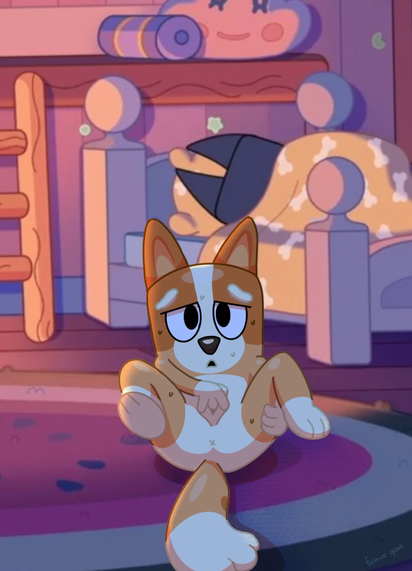 Bingo Bluey hentai videos GIFs and images