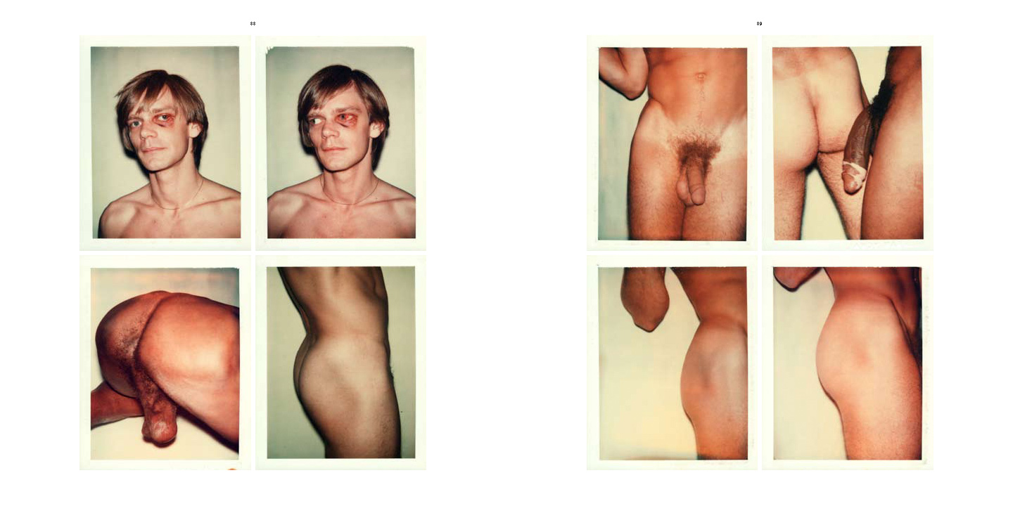 Polaroid Big Shot cameraArt Blart art and cultural memory archive