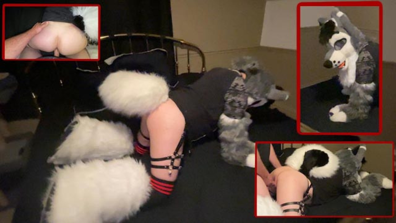 FURRY WHUSKY BOY GETS FUCKED RAW VIBED Murrsuit