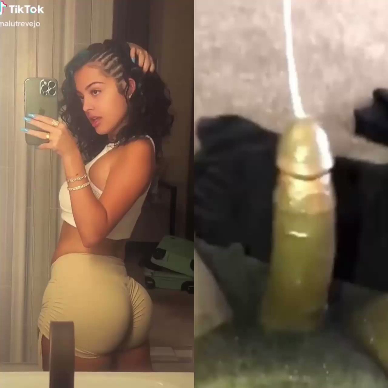 CuriousCatBBCs video Tweet
