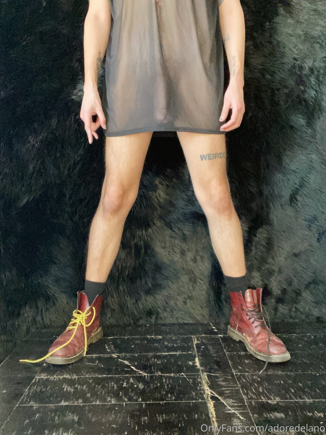 Adore delano Danny noriega