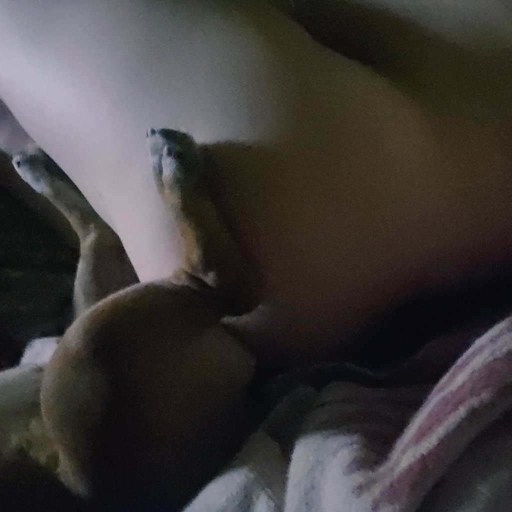 lilymasie photos and videos from OnlyFans