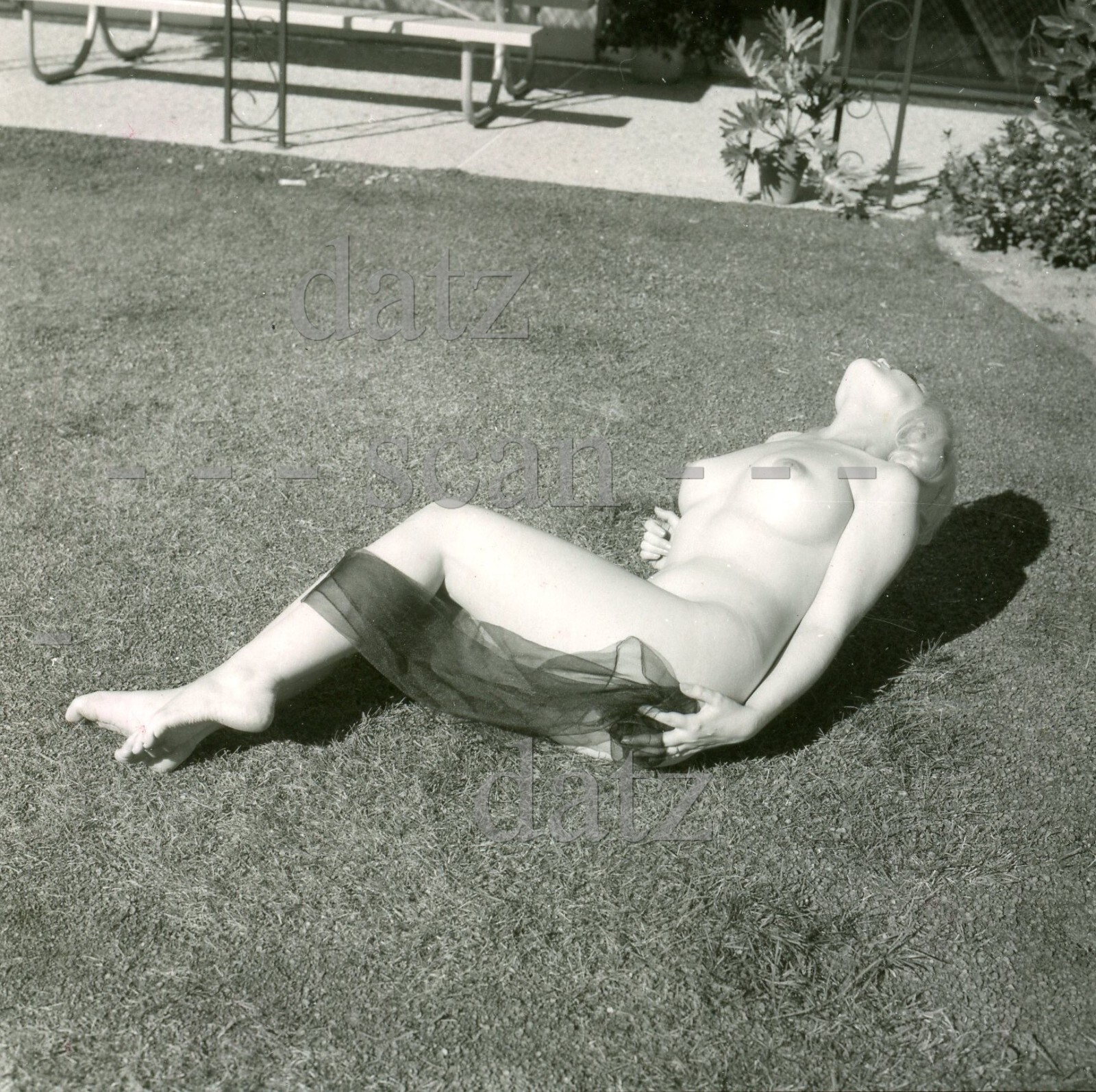 1960s Photo-busty nude blonde pinup girl Betty Miller-cheesecake t807791