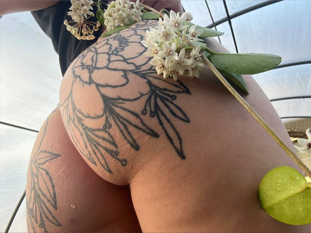Descubre cuentas de OnlyFans