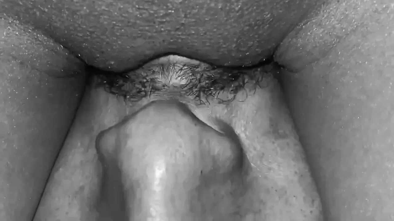 Ebony Pussy Sucking Till Cum watch online