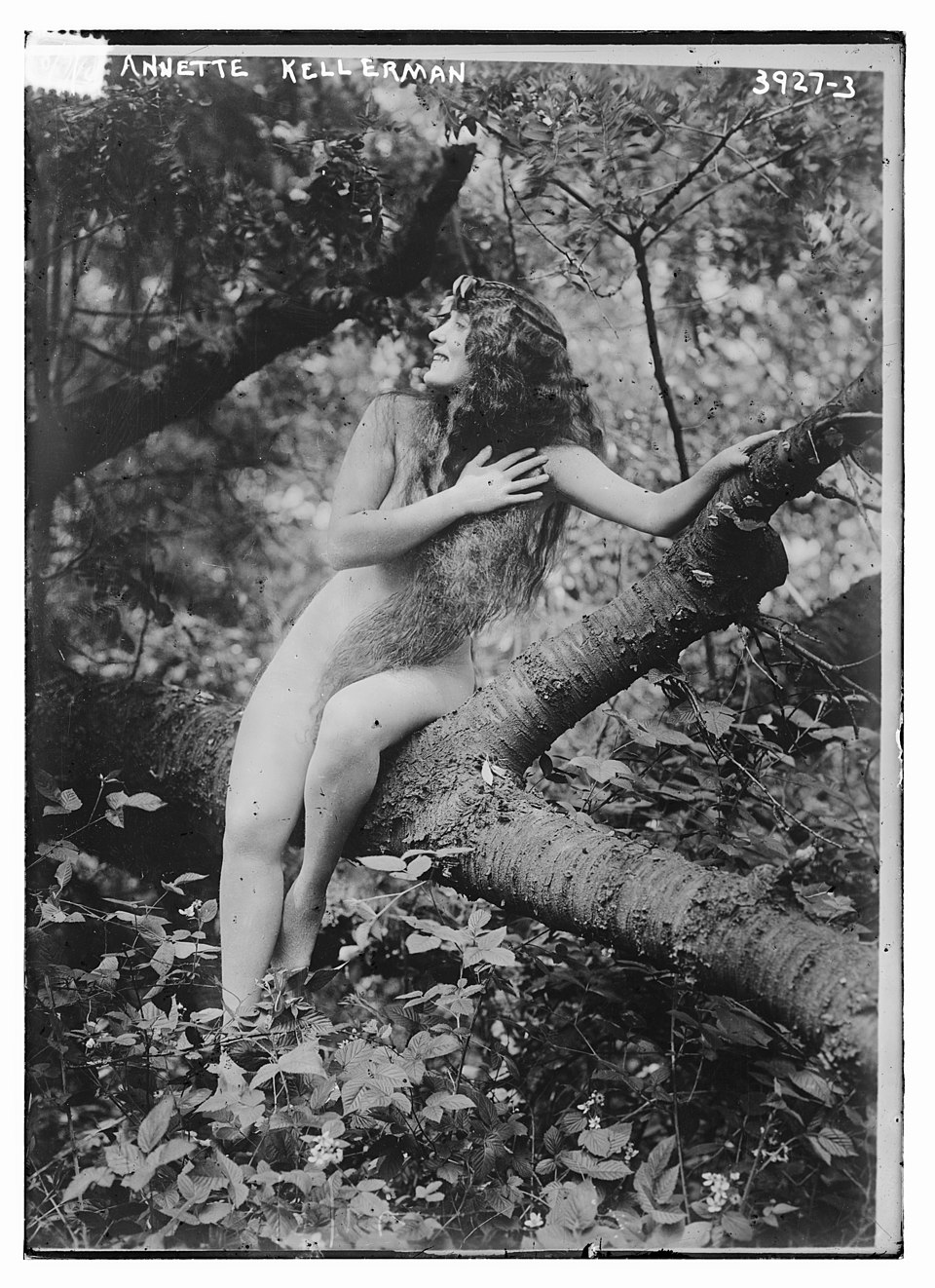 Imagery of nude celebrities