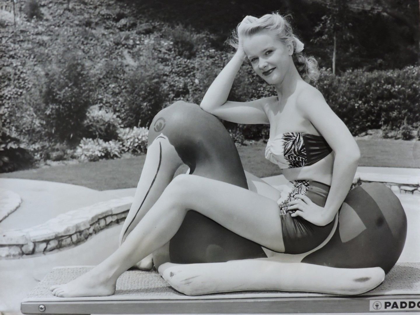 Anne Francis Playboy