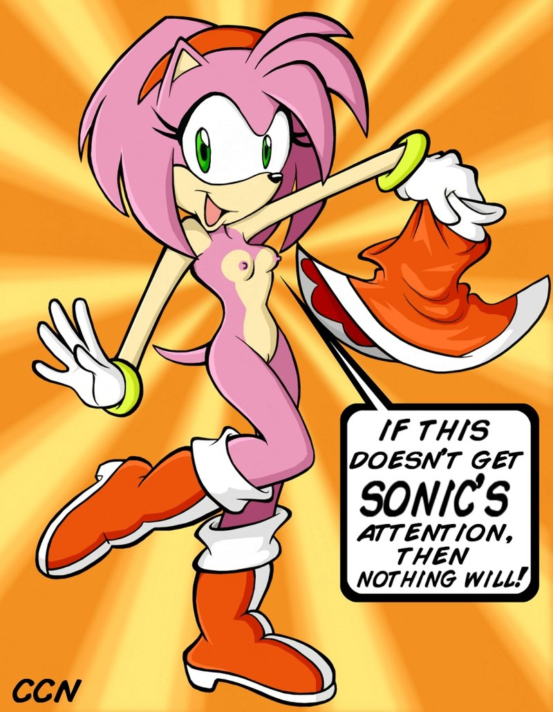 Post 409692: AmyRose CCN SonictheHedgehogseries