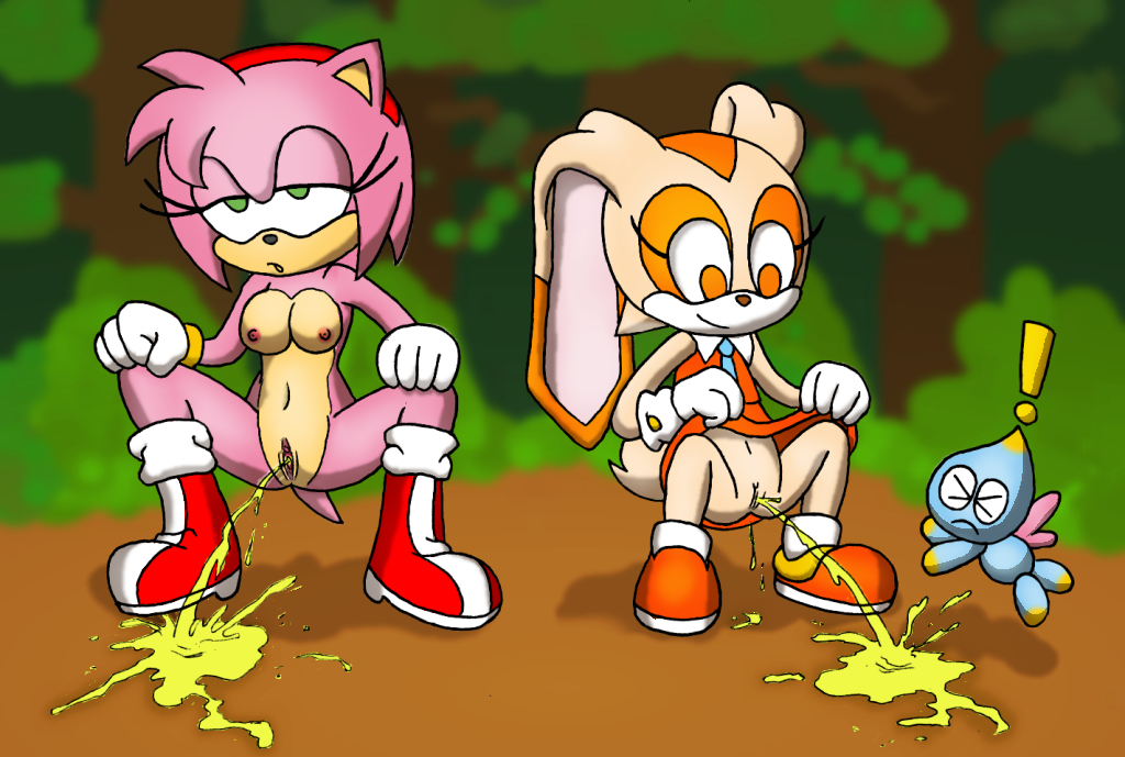 Post 119838: AmyRose CheesetheChao CreamtheRabbit SonictheHedgehogseries
