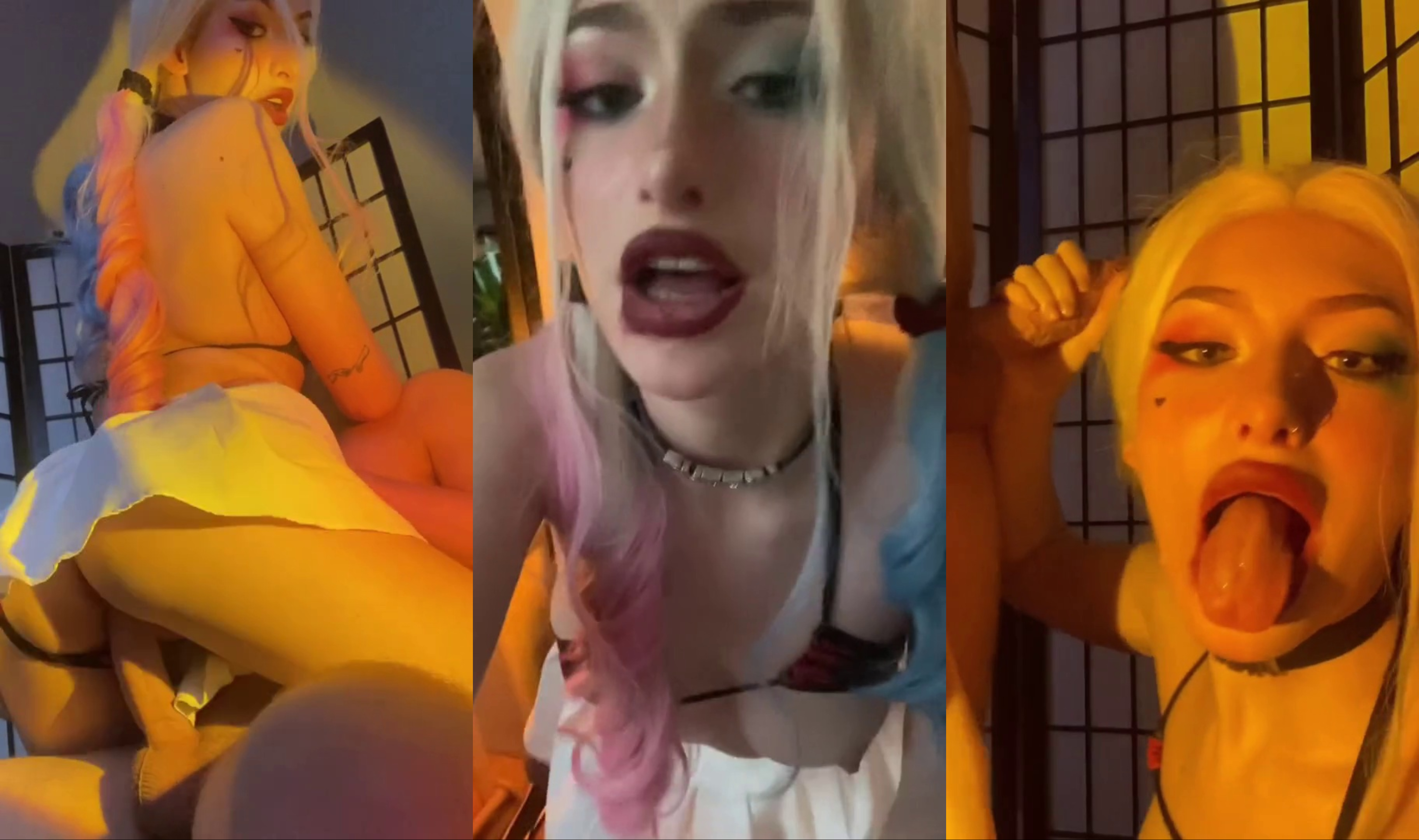 Sex Crazed Harley Quinn Cosplay