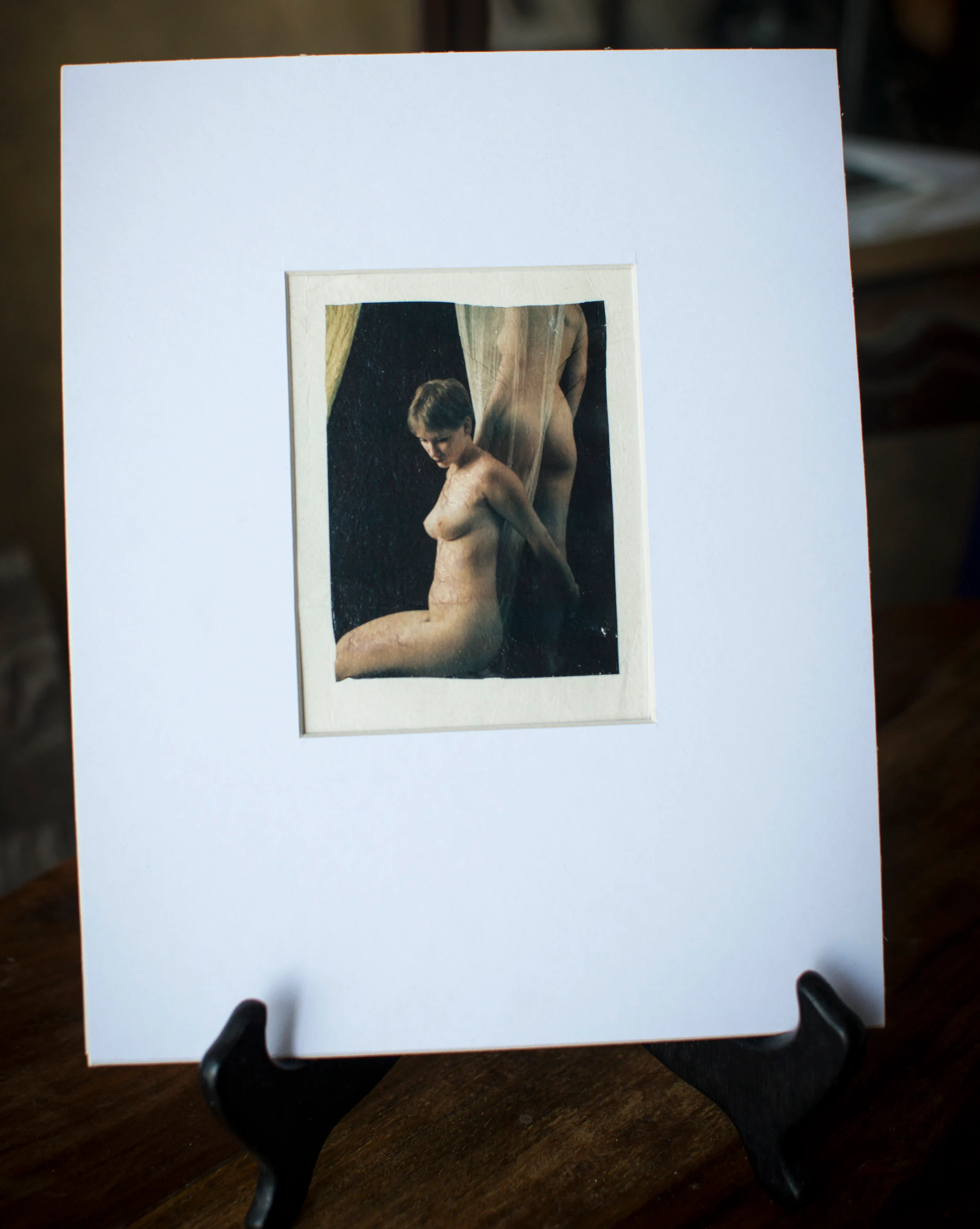 Polaroid Nude