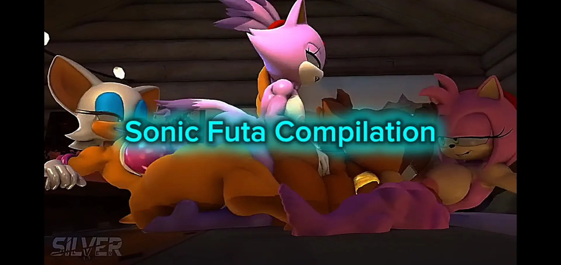 Sonic Futa Compilation