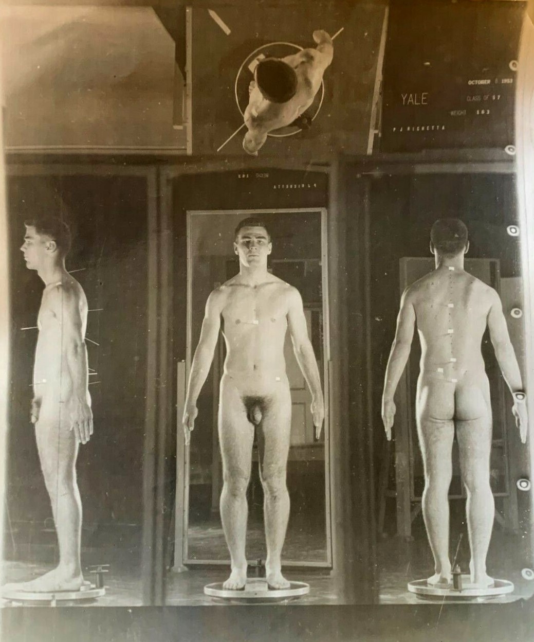 Vintage Muscle Men: Panels