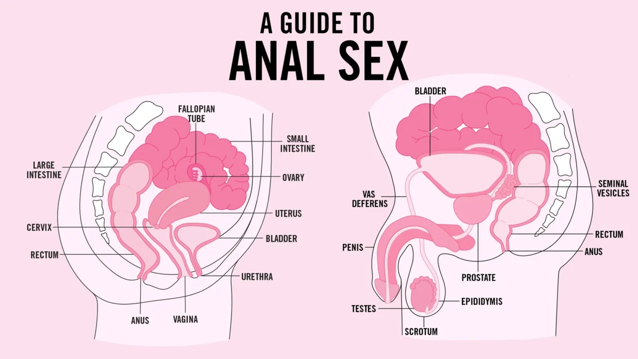 The Secrets of Anal Sex: How to Do it Better and Safer