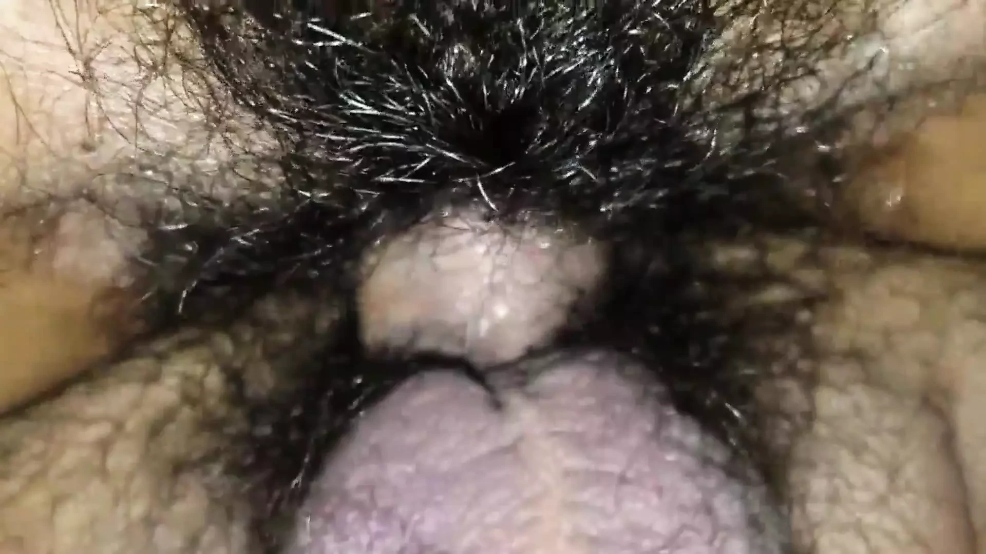 Queen Pussy Porn Videos