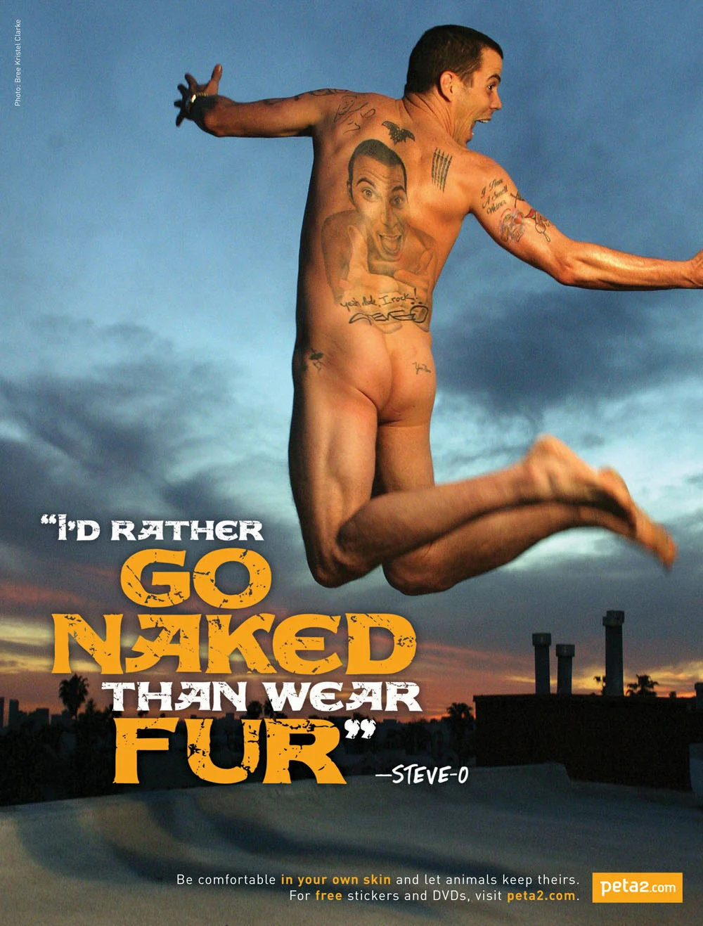 Steve-O: Id Rather Go Naked Than Wear Fur